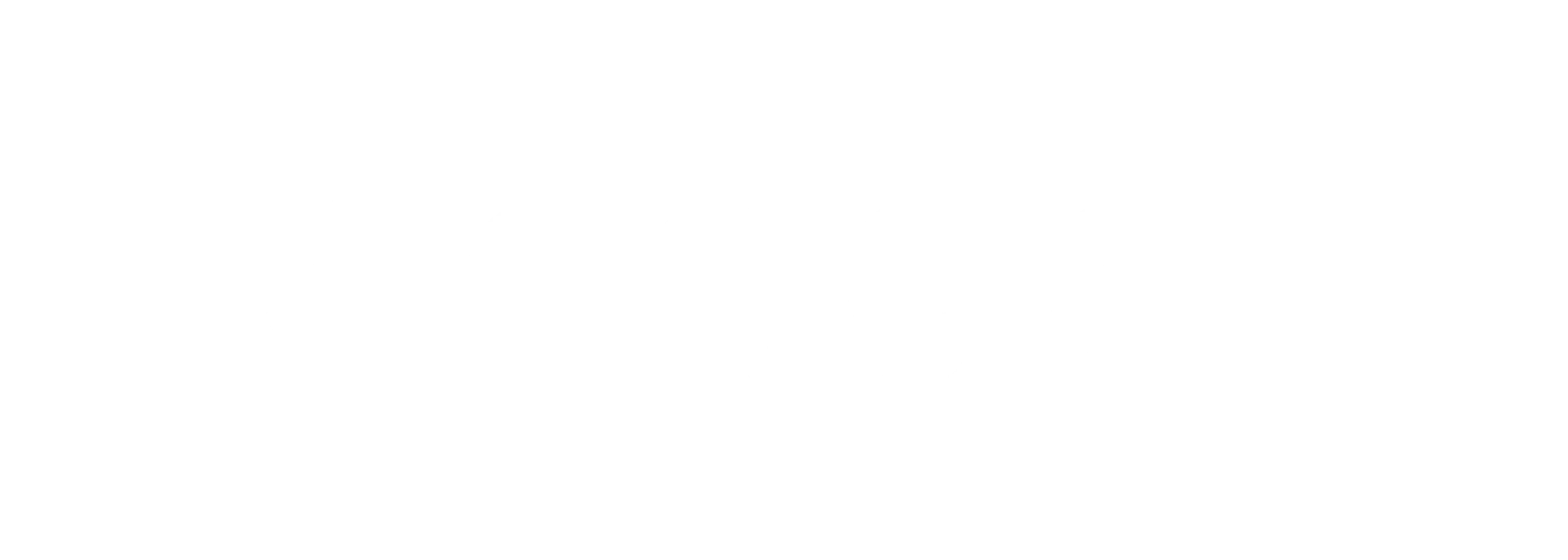 Megger logotyp